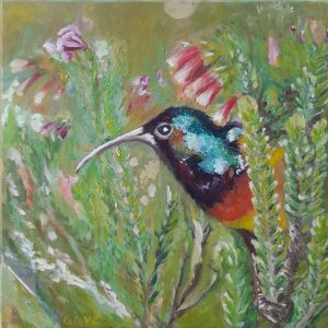 Original South African  Oil  “Hummingbird in the Fynbos”